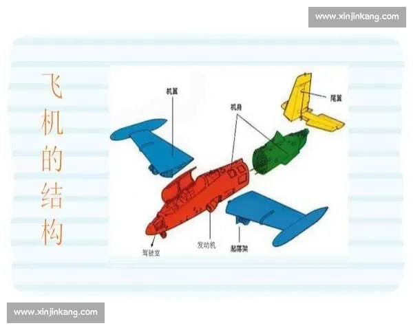 探索全球热门体育项目的发展趋势与竞技魅力解析