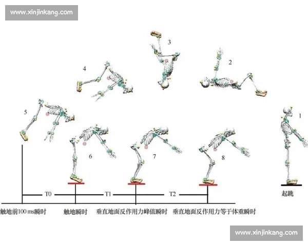 基于体育科学模型的运动表现优化与训练方案研究探索 基于体育科学模型的运动表现优化与训练方案研究探索